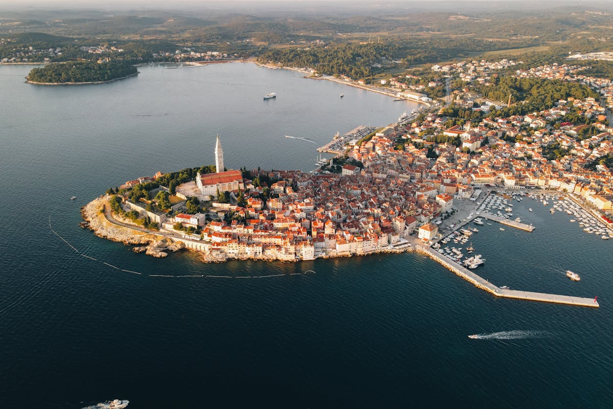 pexels-riedelmax-32430940