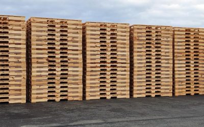 Kada standardne palete više nisu dovoljne i zašto se tada biraju velike palete